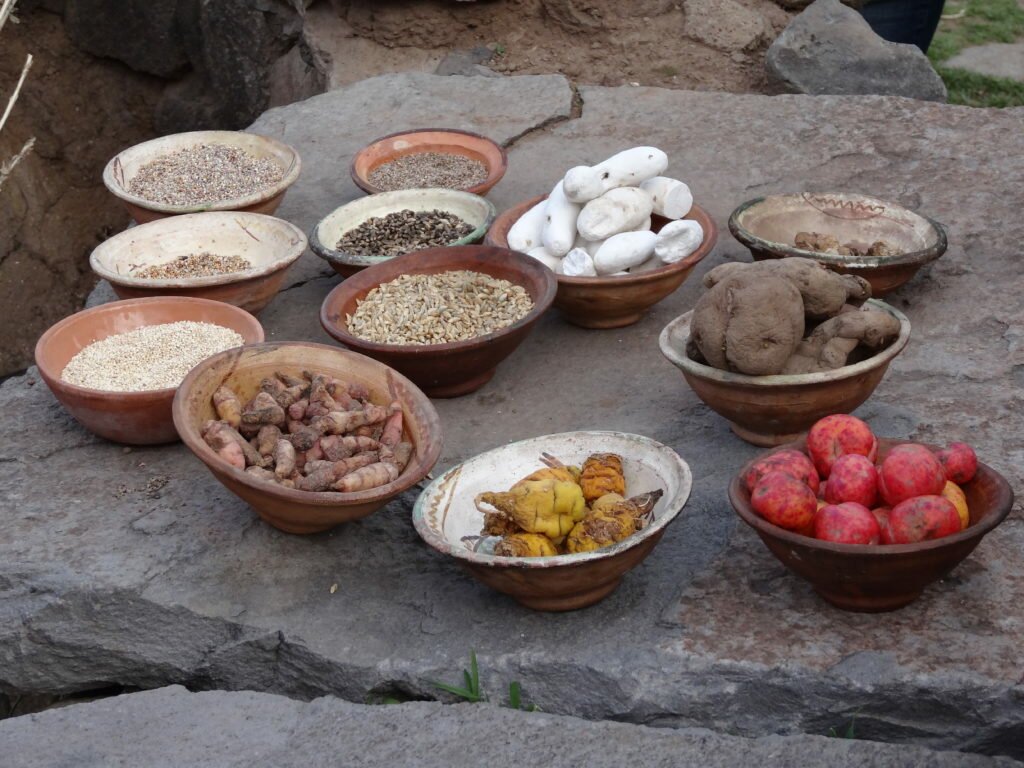 The Ark of foods Food Prize