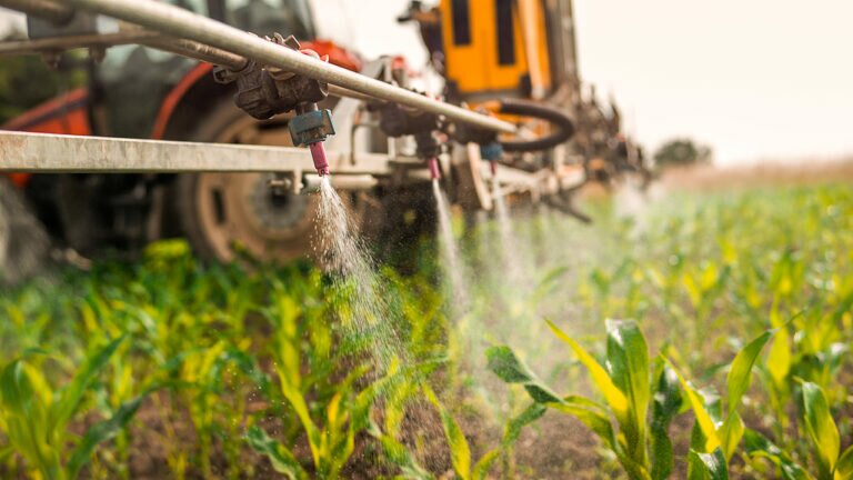 Biodiversity in farming and nature - Food Planet Prize