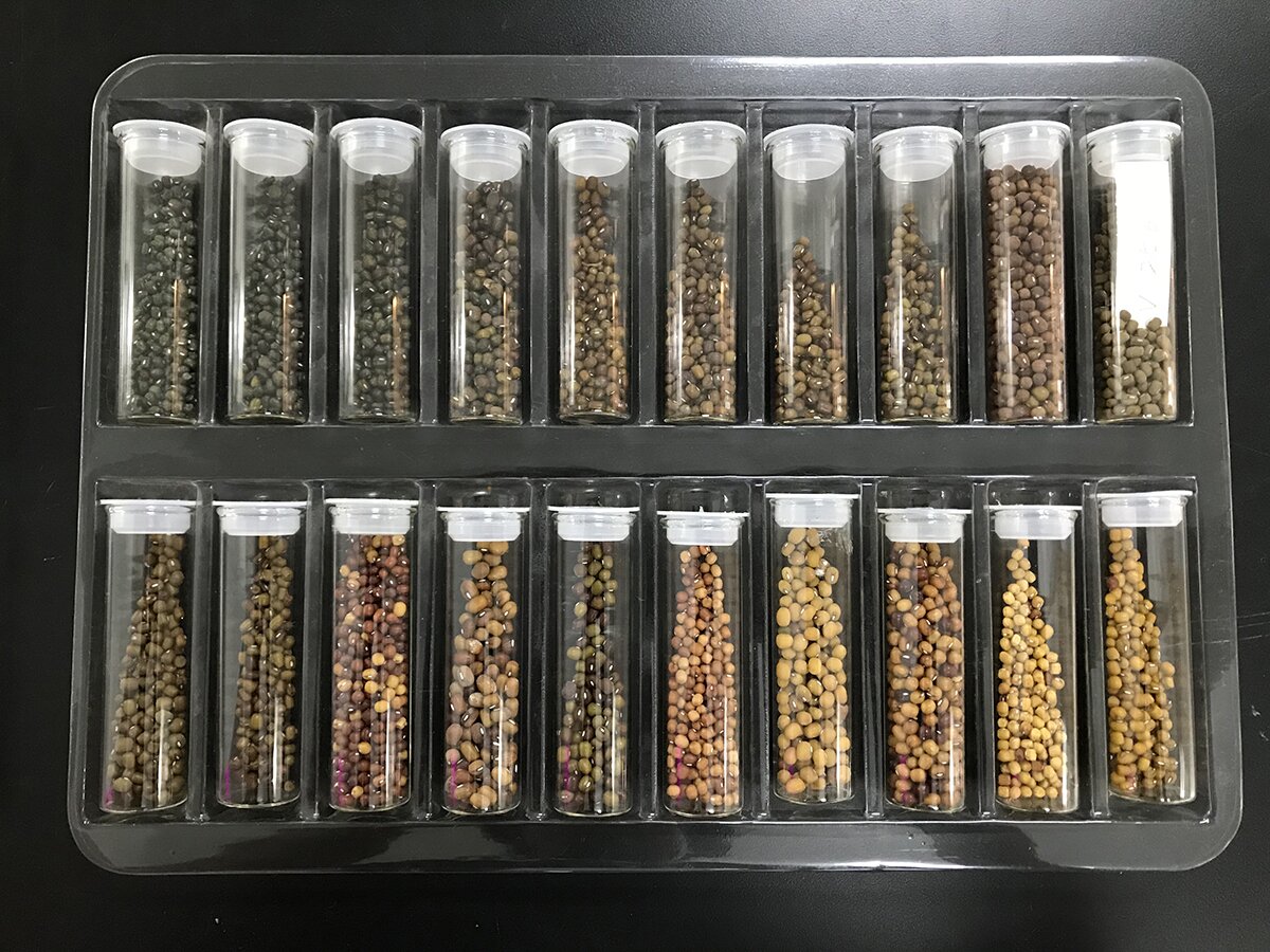 The Global Crop Diversity Trust Food Prize