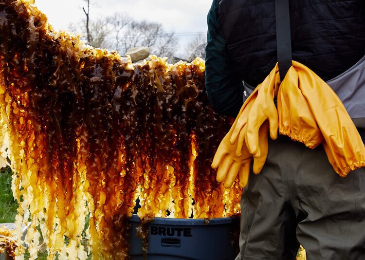 Photo: Read McKendree