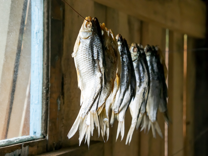 Drying small fish on ropes, a traditional know-how in coastal gastronomic landscapes