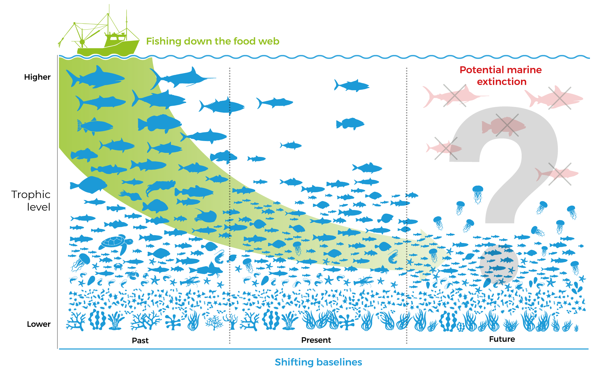 Decreasing fish stocks