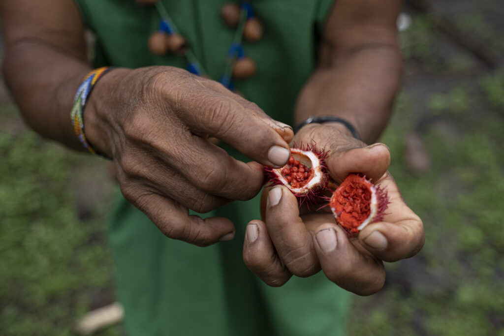 Yakum is planting the future in Ecuador - Food Planet Prize