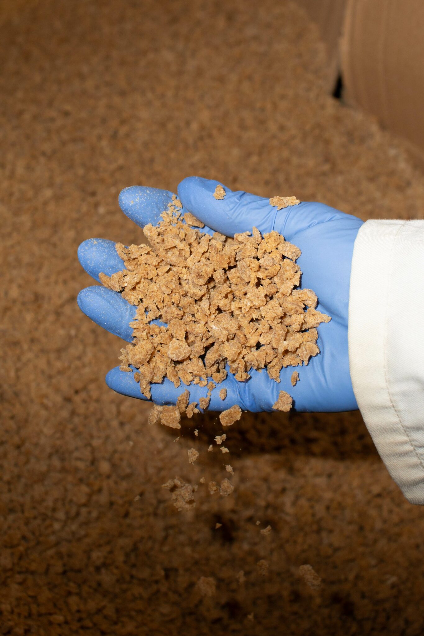 Aquagrain: New Life for Poor Soil - Food Planet Prize