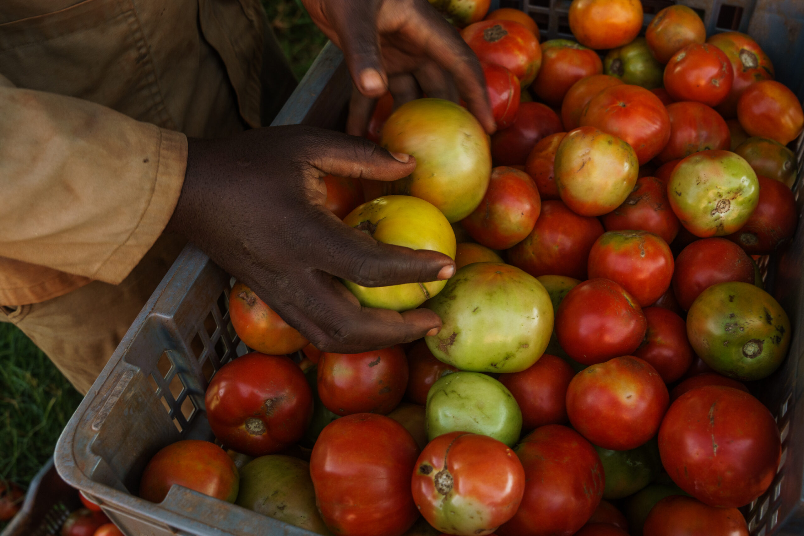 foodplanetprize.org
