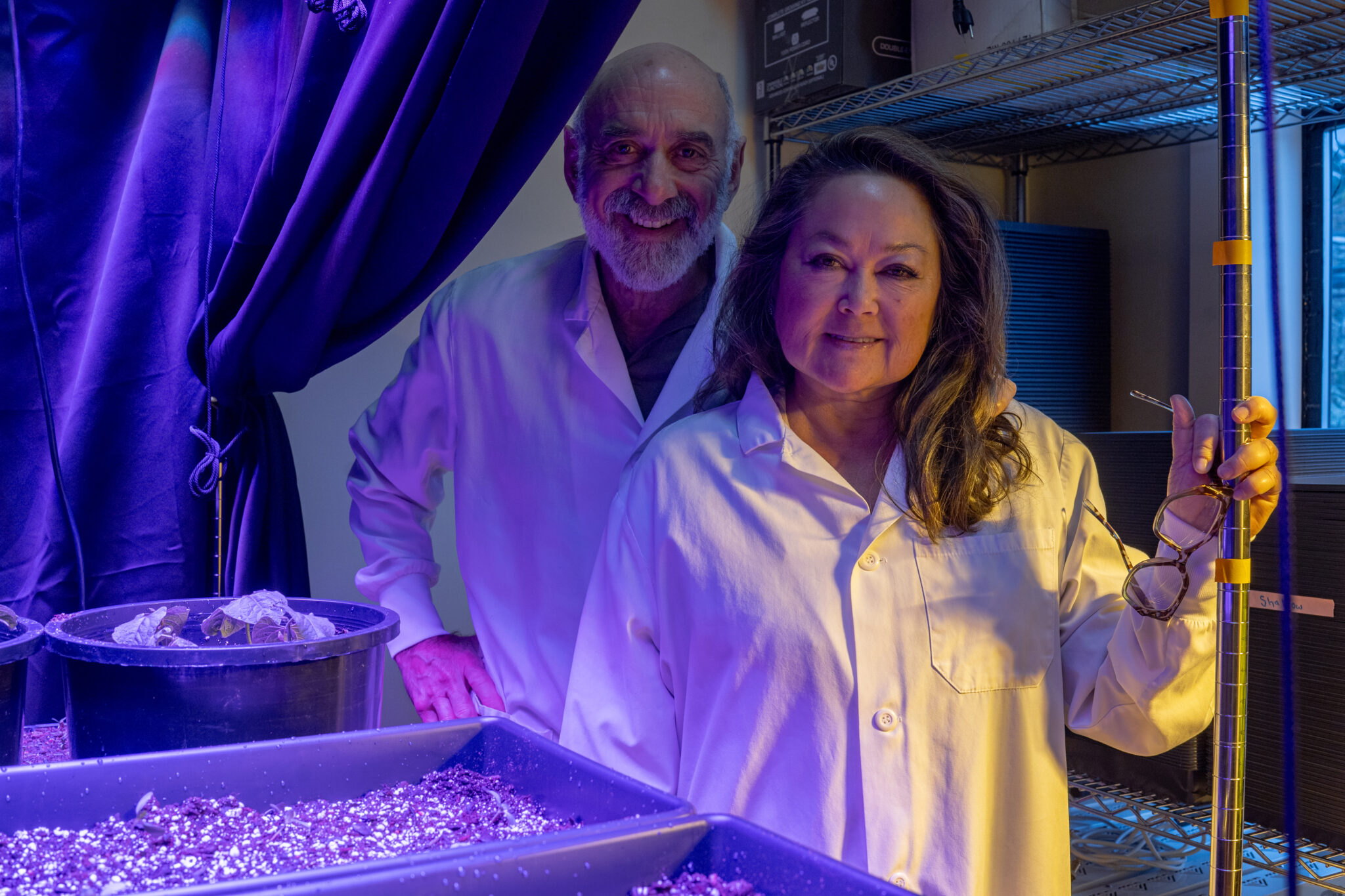Resty Rodeiguez Adaptive Symbiotic Technologies: The Fungi That Could Transform Global ...