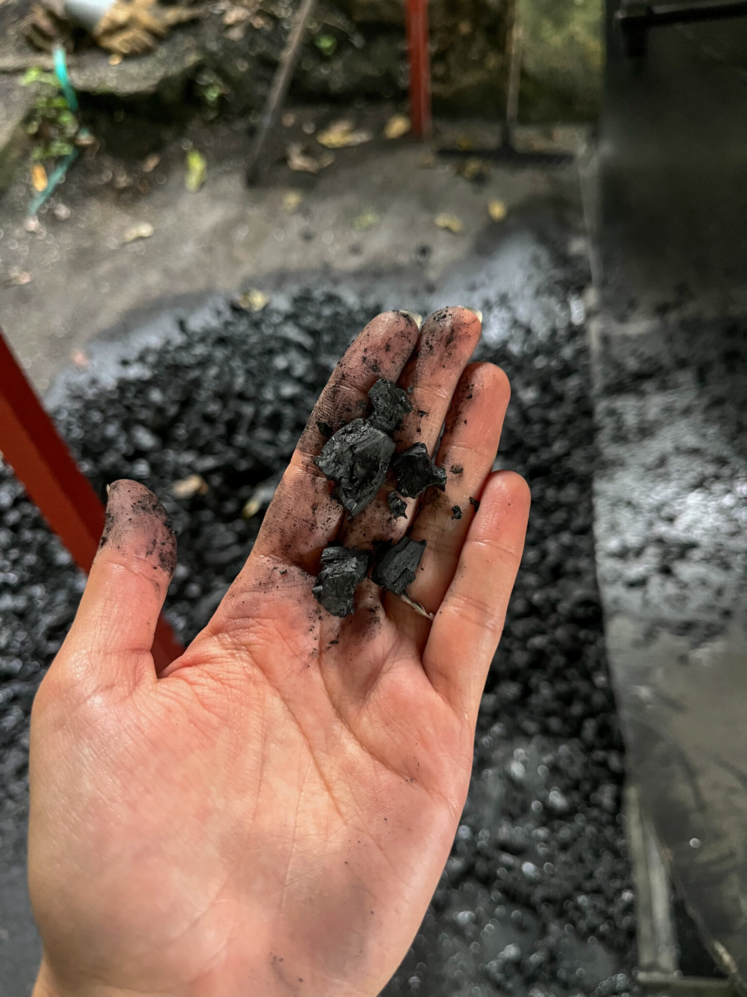 International Biochar Initiative: Leading the Charge for Climate-Smart ...