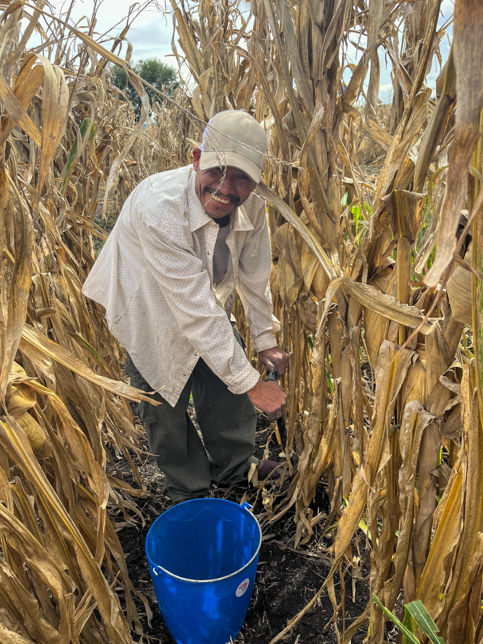 International Biochar Initiative: Leading the Charge for Climate-Smart ...